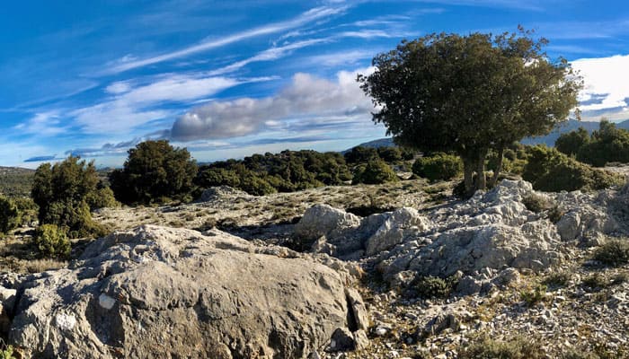 Die Barbagia - Ausflüge - Sardinien