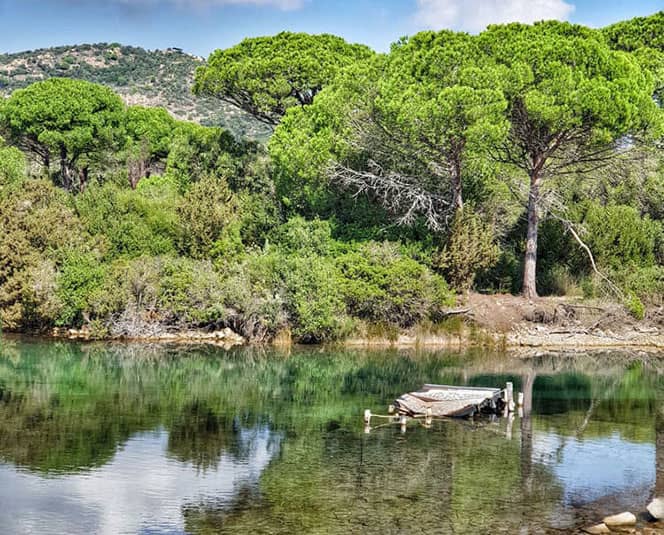 @lamg('Oasi naturalistica di Bidderosa') - Orosei- Sardinia