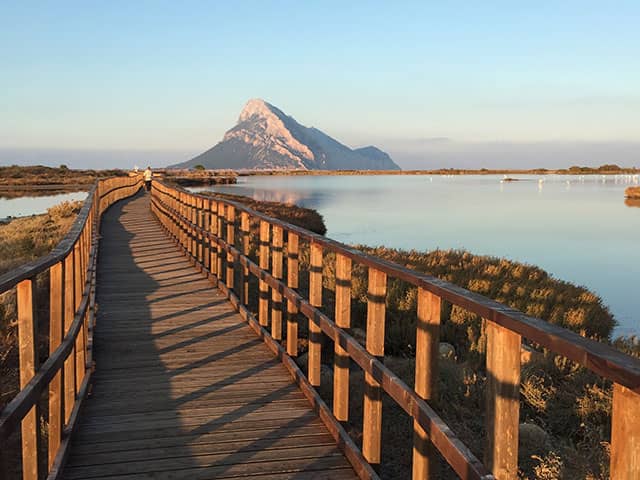 Passeggiata nello stagno di Porto Taverna